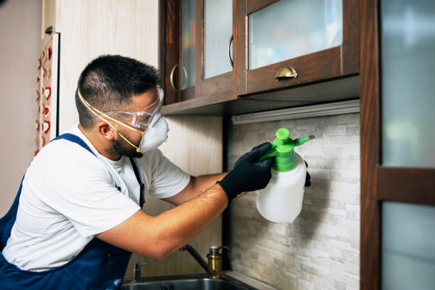 Best Best Pest Control Companies  in Goodview, MN