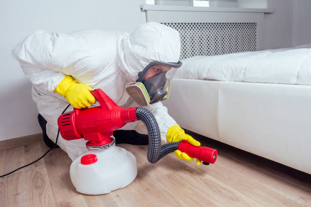 Best Local Pest Control Services  in Goodview, MN
