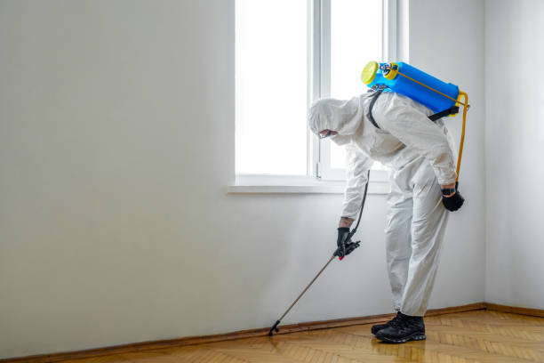 Best Commercial Pest Control Services  in Goodview, MN